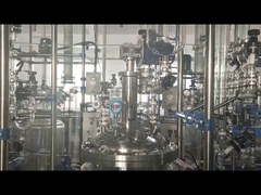 রাসায়নিক কাঁচের রিঅ্যাক্টর